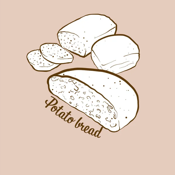 Ręcznie Rysowany Chleb Ziemniaczany Ilustracja Liściaste Lub Przaśne Zwykle Znane — Wektor stockowy