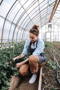 Serada çiçek toplayan bir çiçekçi.