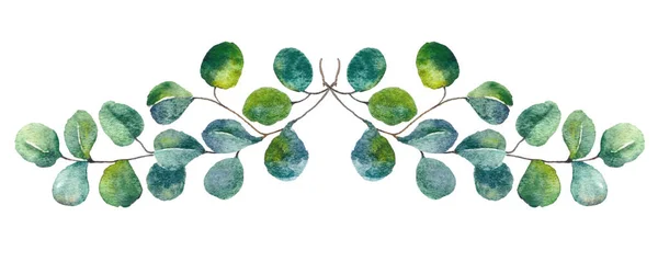 Zelené listy akvarel Botanická ilustrace. Eucalyptys ručně tažené prvky pro svatební pozvánky, pohlednice, textilní design. — Stock fotografie
