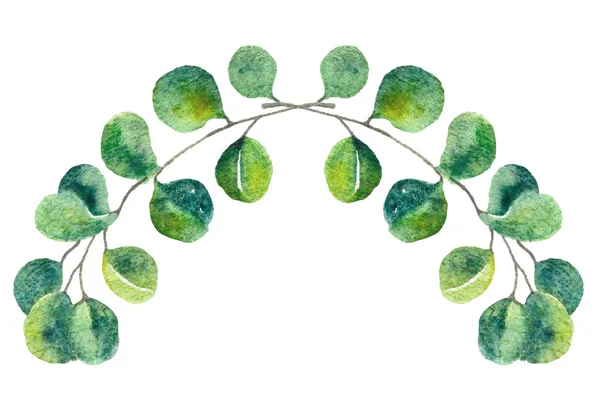 Feuilles vertes aquarelle illustration botanique. Eucalyptys éléments dessinés à la main pour les invitations de mariage, cartes de vœux, design textile . — Photo