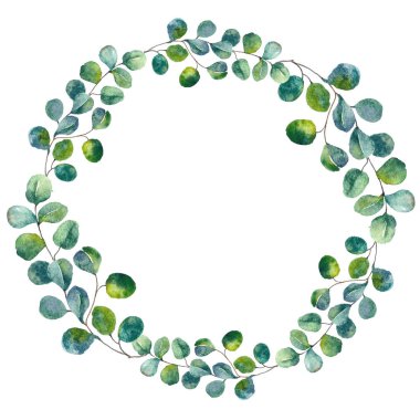 Suluboya okaliptüs çelenk. Yeşil yaprakları botanik çiçek çelenk. El boyalı yeşillik bitkisel çerçeve düğün davetiyeleri, tebrik kartları, baby shower, baskılar ve posterler için