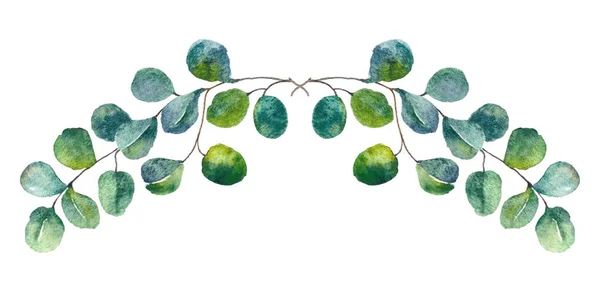 Grüne Blätter Aquarell botanische Illustration. Eukalyptys handgezeichnete Elemente für Hochzeitseinladungen, Grußkarten, Textildesign. — Stockfoto