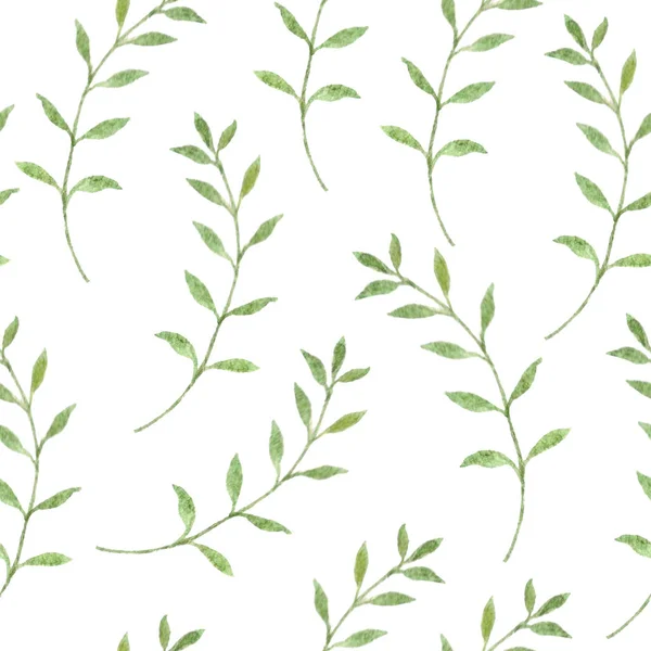 Seamles 패턴 유칼립투스 나뭇잎. 녹색 단풍과 식물 수채화 패턴. — 스톡 사진