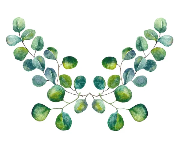 Зеленые листья акварели ботаническая иллюстрация. Эвкалипты вручную рисуют элементы для свадебных приглашений, поздравительных открыток, текстильного дизайна . — стоковое фото
