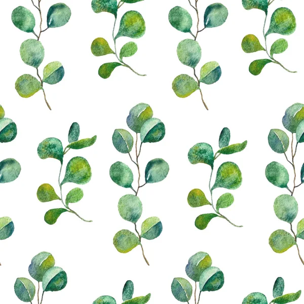 Gelast patroon met eucalyptus bladeren. Groen gebladerte en botanische aquarel patroon. — Stockfoto