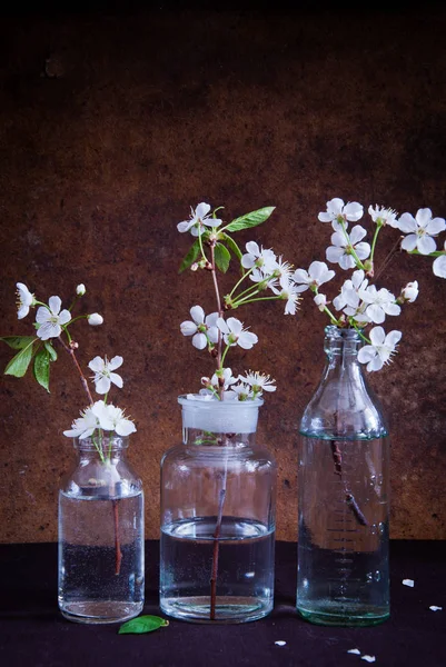 Flores Primavera Botellas Vidrio Botellas Vidrio Sobre Fondo Vintage Madera — Foto de Stock