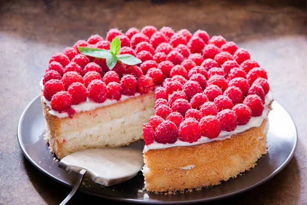 Домашний малиновый торт — стоковое фото