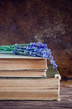 eski bir kitap üzerinde lavanta