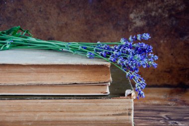 eski bir kitap üzerinde lavanta