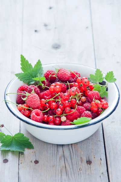 Fresh organic Red berries in a white enamel bowl — Stock Photo, Image