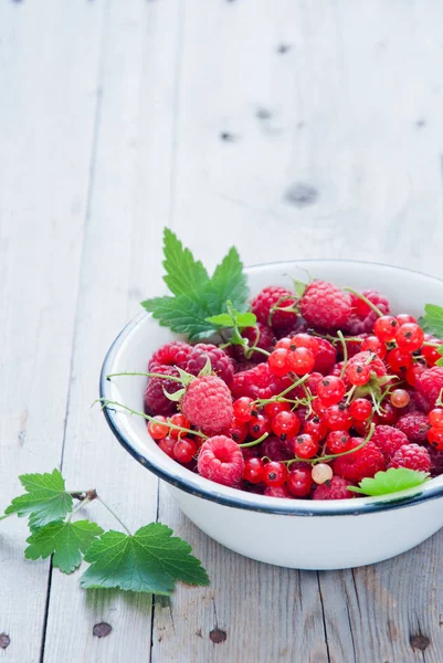 Fresh organic Red berries in a white enamel bowl — Stock Photo, Image