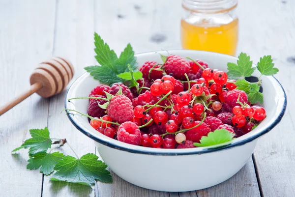 Fresh organic Red berries in a white enamel bowl — Stock Photo, Image