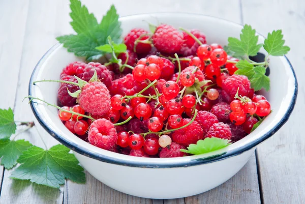 Fresh organic Red berries in a white enamel bowl — Stock Photo, Image
