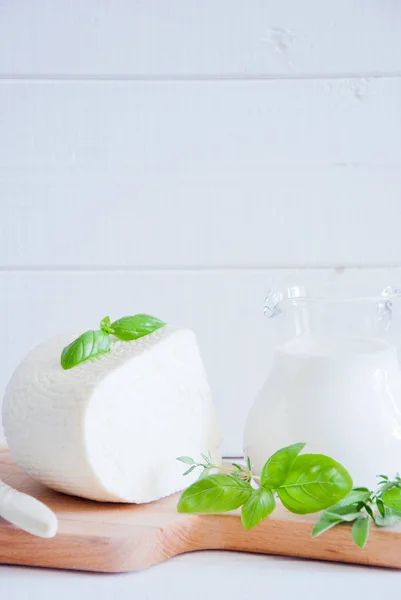 Queso de cabaña, crema agria, queso, crema, yogur y leche — Foto de Stock