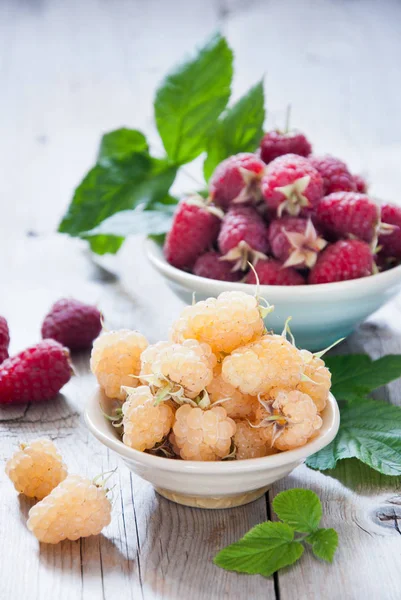 Fresh organic white gold and red raspberry in a bowl — Stock Photo, Image