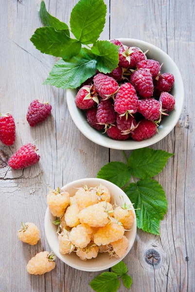 Fresh organic white gold and red raspberry in a bowl — Stock Photo, Image