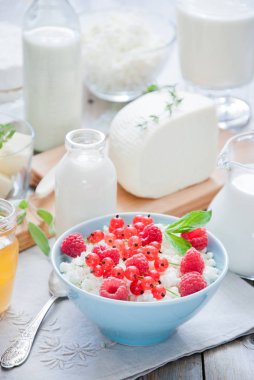 Açık gri ahşap arka planda doğal süt ürünleri