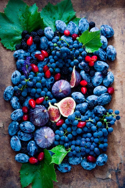 Frische blaue Früchte und Beeren, Feigen, Trauben, Pflaumen, Hartriegel und Himbeeren — Stockfoto