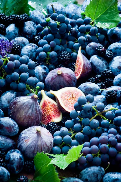 Свіжі блакитні фрукти та ягоди, інжир, виноград, чорнослив та троянду — стокове фото