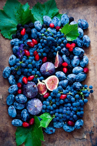 Frutas y bayas azules frescas, higos, uvas, ciruelas pasas, cornejos y fresas —  Fotos de Stock