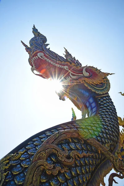 Renkli kral yılan merdivenler