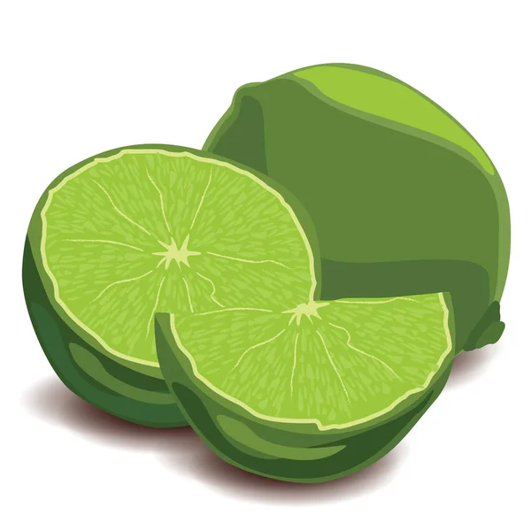 Citrons Verts Frais Tranches Lime Sur Fond Blanc — Image vectorielle