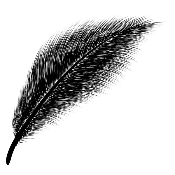 Black Feather Isolated White Background Beautiful Black Feather — Stock Vector
