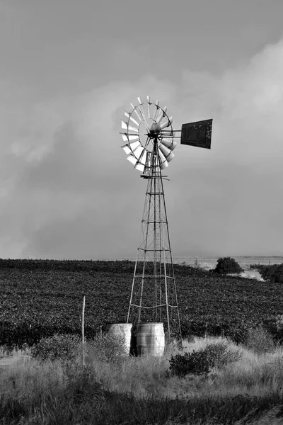 Paysage Moulin Eau Sur Une Ferme Bovine Western Cape Afrique — Photo