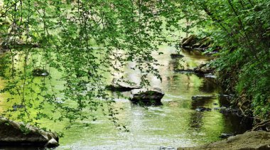 Nehirde bir bahar sabahı ile manzara