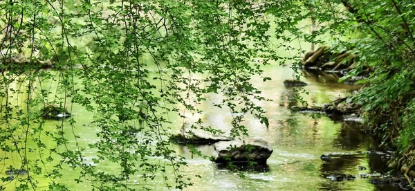 Landschaft Mit Einem Frühlingsmorgen Fluss — Stockfoto