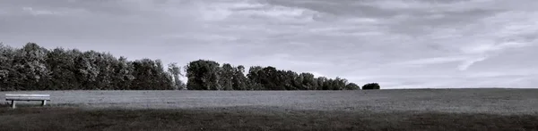 Paisagem Com Árvores Céu Dia Verão — Fotografia de Stock