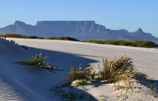 Landschap Met Zandduinen Tafelberg — Stockfoto