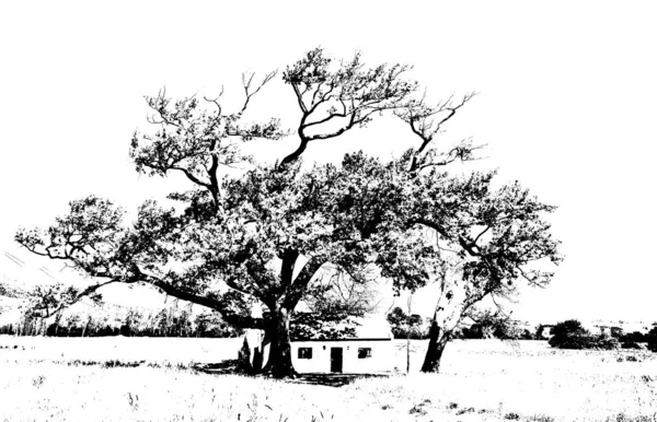 Landschaft Mit Einem Kleinen Bauernhaus Und Einer Eiche — Stockfoto