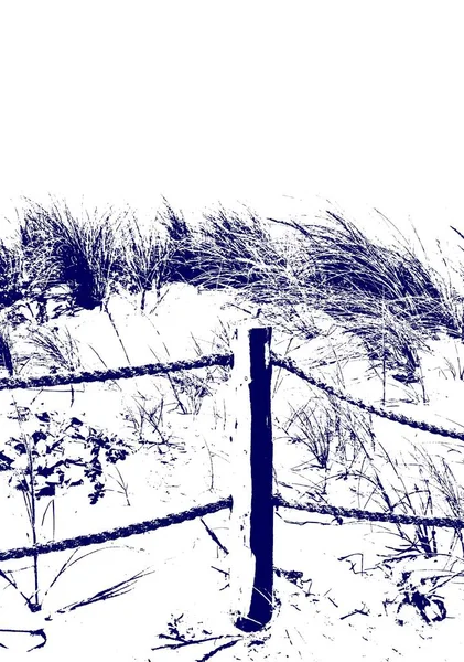 大湾海滩开普敦的沙丘景观 — 图库照片