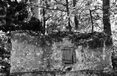 Siyah beyaz bir ormanda penceresi olan eski bir evin duvarını kapatın.