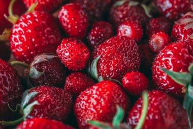 Çilek ve yabani çilek makro closeup doku
