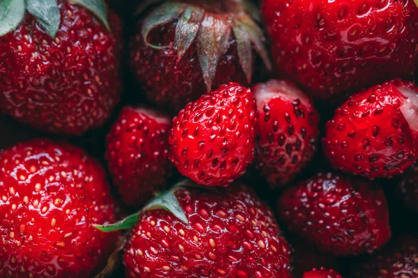 Çilek ve yabani çilek makro closeup doku
