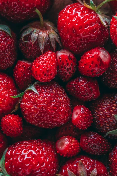 Çilek ve yabani çilek makro closeup doku