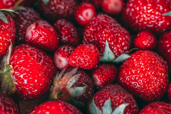 Çilek ve yabani çilek makro closeup doku