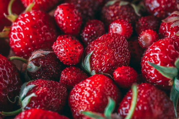 Çilek ve yabani çilek makro closeup doku