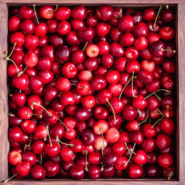 Sweet cherries in the wooden box on the wooden table