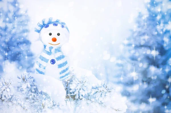冬日美景中的雪人快乐 库存照片 — 图库照片