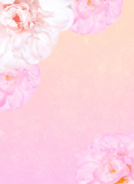 Fotokopi alanı illüstrasyonuyla şakayık çiçek düzenleme