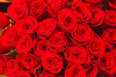 Kırmızı gül buketini kapat.