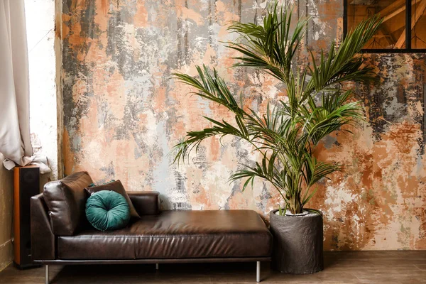 Black leather couch, sofa with green potted palm tree plant in pot with tiles, tiled floor in hall, room, lobby of residential, condo, condominium house, building, complex with bright, natural light — Stock Photo, Image