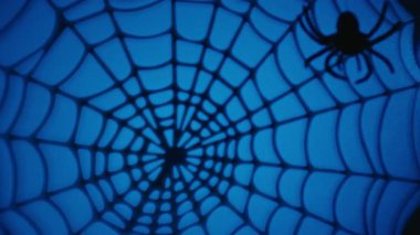Cadılar Bayramı gecesi inen örümceğin silueti. Yüksek kalite 4k görüntü