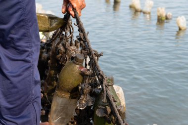Adam çek Nehri üzerinde ağırlığında istiridye.