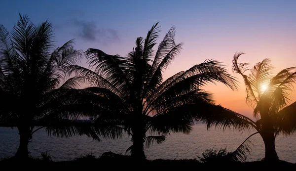 A nuvem colorida do por do sol na praia da noite com foregro da árvore — Fotografia de Stock