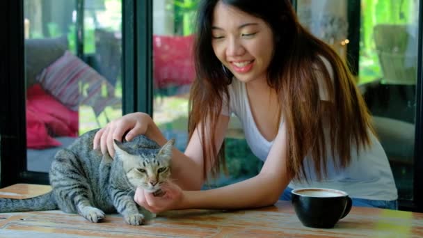 Belle Fille Joue Avec Petit Chat Sur Une Table Bois Video Do Rayaki Outlook Co Th C Belle Fille Joue Avec Petit Chat Sur Une Table Bois Video Do Rayaki Outlook Co Th C