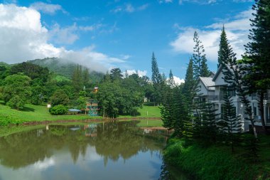 Suya yansıyan bulutlar. Yeşil bitki örtüsüyle çevrili. Mavi gökyüzü ve Asya 'da beyaz bulutlarla dolu yağmurlu bir gün..